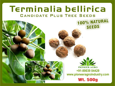 Terminalia Bellirica